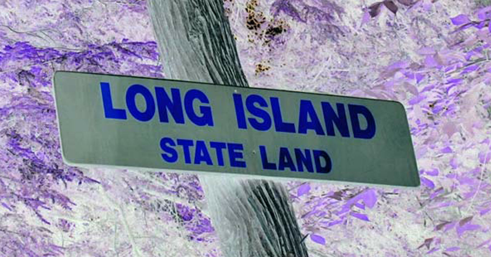 Long Island Campgrounds